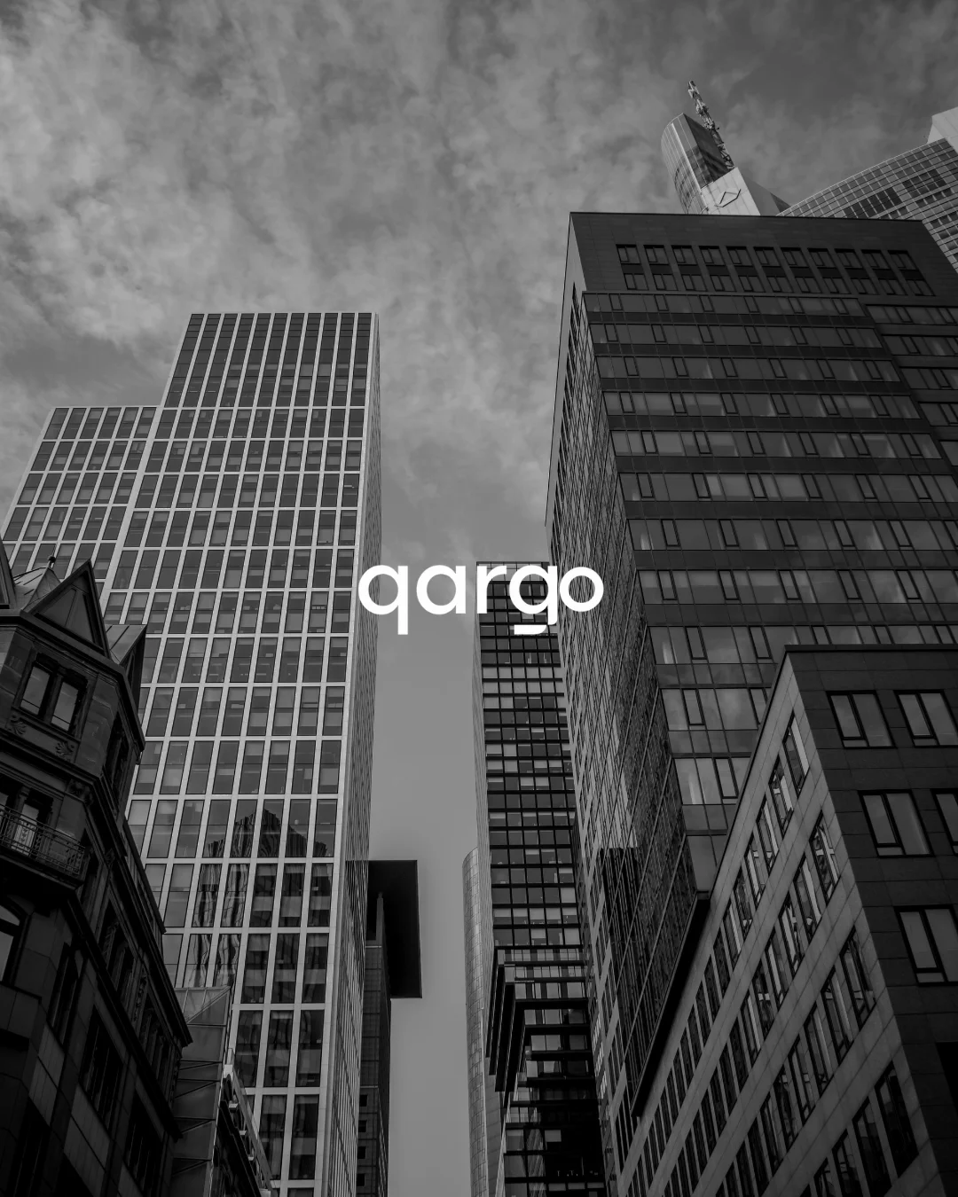Qargo Team